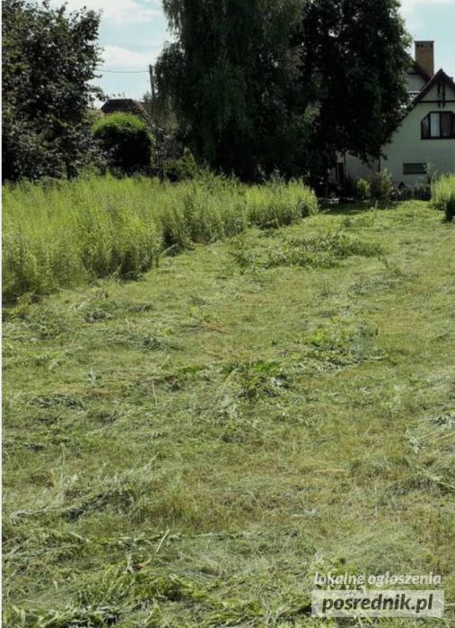 Koszenie trawy kosą spalinowa