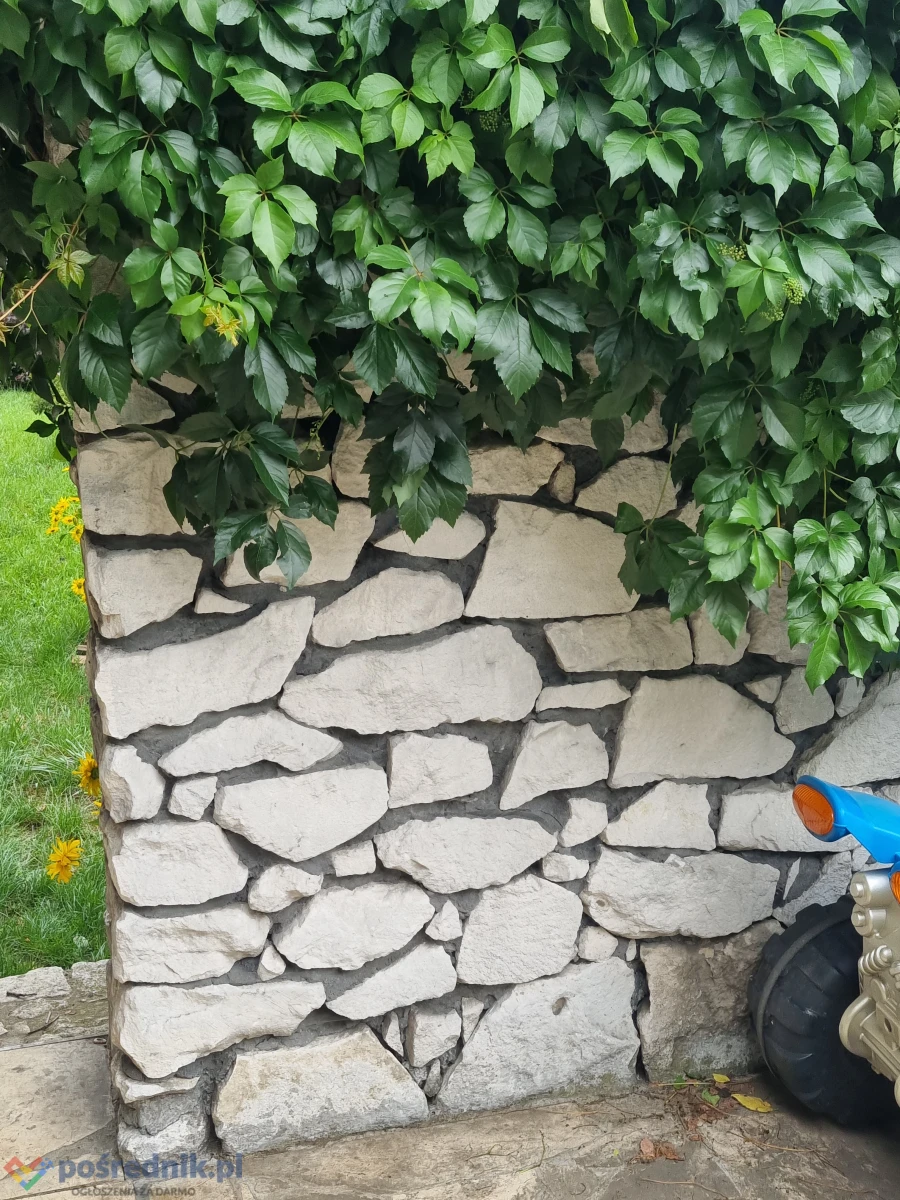 Sporzedam nowy kamień wapienny