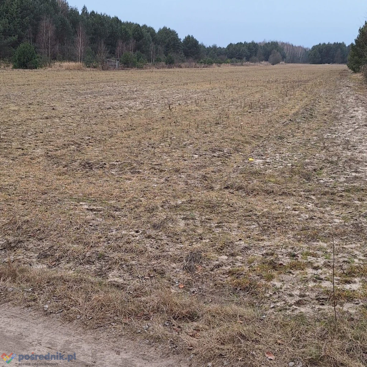 Działka rolna 1.6ha