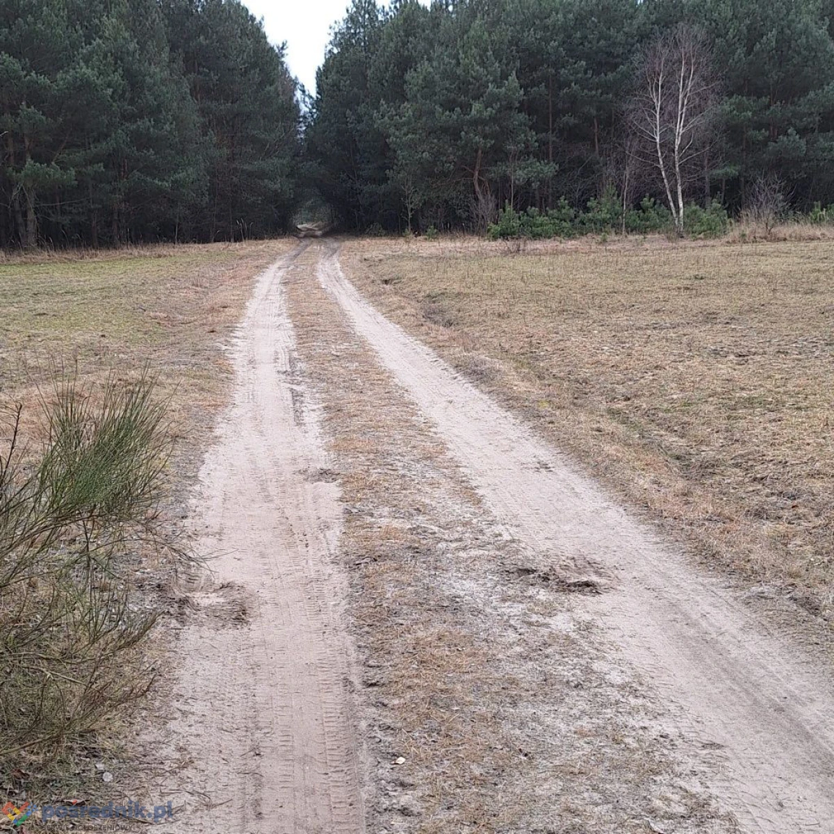 Działka rolna 1.6ha