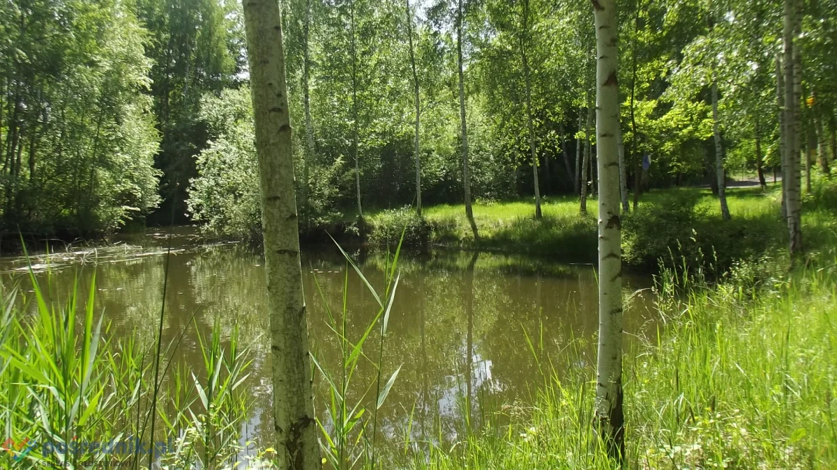 Działka budowlana las, staw, woda, prąd