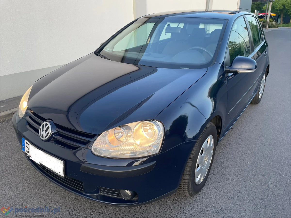 VW Golf 1.6 102 km 2004