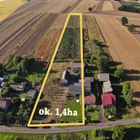 INWESTYCJA! 3 działki z dochodową plantacją drzew tlenowych, Agroturystyka