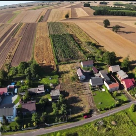 INWESTYCJA! 3 działki z dochodową plantacją.