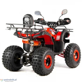 Quad 125 dla dziecka XTR Phyton PRO KXD 110 Raty Dostawa