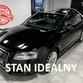 Audi A3 Cabriolet 1.9 TDI DPF Attraction