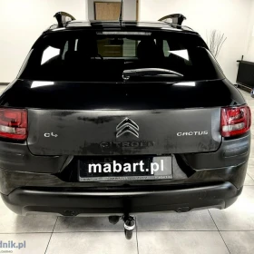 Citroën C4 Cactus PureTech 110 Stop&Start Shine