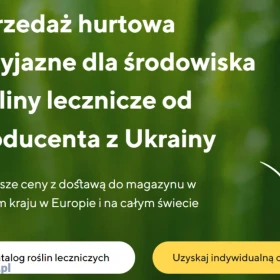 Sprzedaż hurtowa roślin leczniczych od producenta w najlepszych cenach