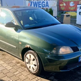 Seat Ibiza 1.4 TDI 2004 diesel ekonomiczny