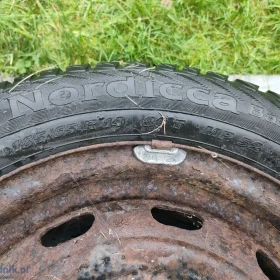 Opona Nordica Basic 185/65/r14