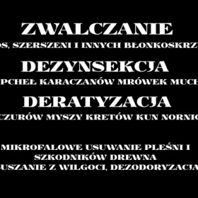 Usuwanie likwidacja gniazd os szerszeni dezynsekcja dezynfekcja DDD