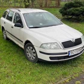 Skoda Octavia 1.9 TDI Mint