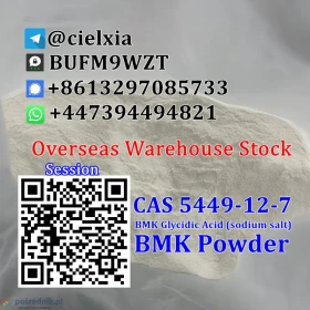 Signal@cielxia.18 Cheap Price CAS 5449-12-7 New BMK Powder BMK Glycidic Acid (sodium salt)