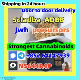 Good Quality 5cladba ADBB precursor adb-butinaca Purity 99%