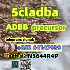 Good Quality 5cladba ADBB precursor adb-butinaca Purity 99%