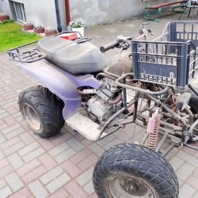 Quad ATV 250