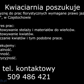 Zatrudnię mężczyznę