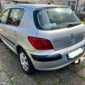 Peugeot 307 1.6 XS