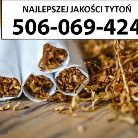 Idealnej Jakości TYTOŃ 80 PLN /1KG