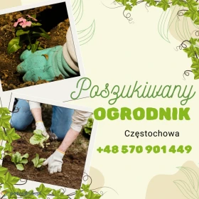 Poszukujemy Ogrodnika! 