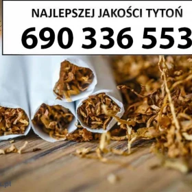 PREMIUM Tytoń na wagę 80 PLN / 1KG