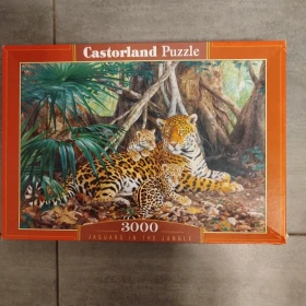 Puzzle 3000 elementów 