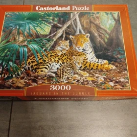 Puzzle 3000 elementów 