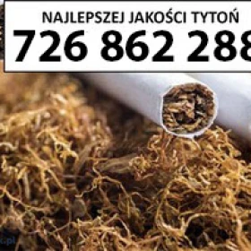 SUPER Jakości TYTOŃ 80 PLN / 1KG