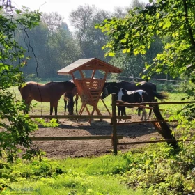 Pensjonat boks dla koni Rajsko 15km od Częstochowy