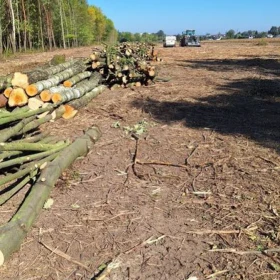 Mulczowanie, Czyszczenie działek, Wycinka drzew, Karczowanie