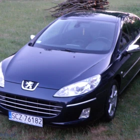 PEUGEOT 407