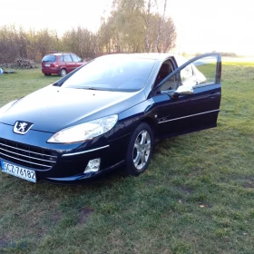 PEUGEOT 407