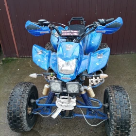 QUAD BASHAN 250