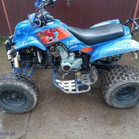 QUAD BASHAN 250