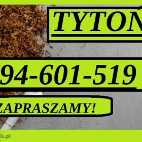 SUPER TYTOŃ TANI TYTOŃ TYTOŃ PREMIUM