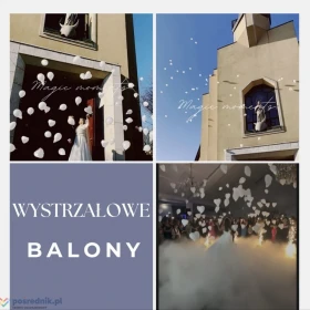 ATRAKCJE, efekty specjalne na ŚLUB i WESELE, Fotobudka FotoBox Magazine, WYSTRZAŁOWE BALONY, Fontanny Iskier i inne