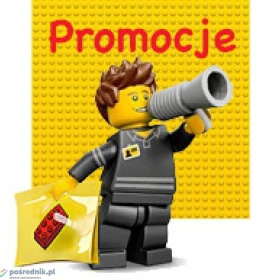  kupię używane klocki LEGO w cenie 30-35zł za KG