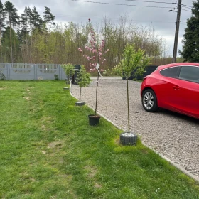 Opel Astra GTC 