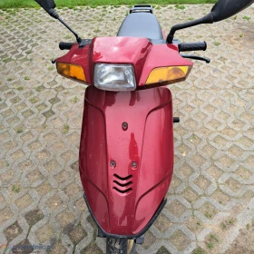 Skuter