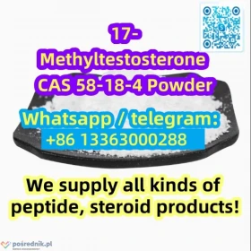 [17-Methyltestosterone]  58-18-4