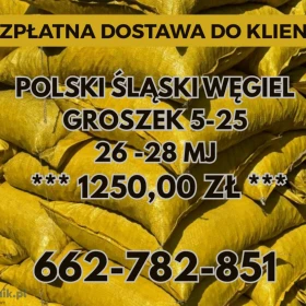 POLSKI WĘGIEL : GROSZEK 5-25, 26-28MJ - Transport Gratis !