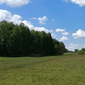 DZIAŁKA - NA DOM JEDNORODZINNY