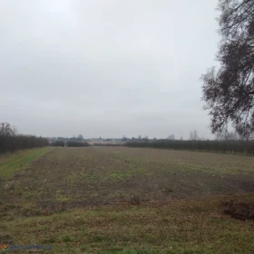Ziemia inwestycyjna rolno/budowlana, 2,02 ha przy trasie K48 łączącej S19 (Via Carpatia) i S17 (Warszawa-Lublin)