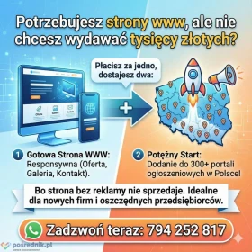 HIT: Strona WWW + Reklama w 300 miejscach! | Dodawanie ogłsozeń, tanie strony www