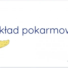 Prezentacja multimedialna