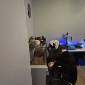 Mieszkanie 2 pokojowe Świętochłowice Centrum