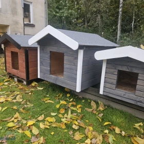 Buda dla psa mała duża