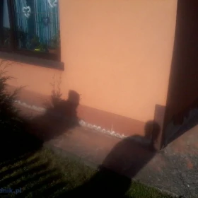 Izolacje i osuszanie budynków - piwnice, fundamenty | Śląsk, Małopolska