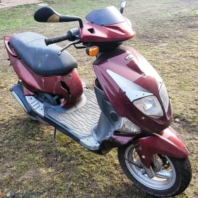 PGO T-rex 50 motorower