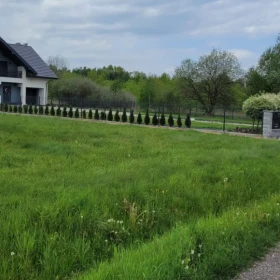 Działka z warunkami zabudowy Lgota, ul. Polna
